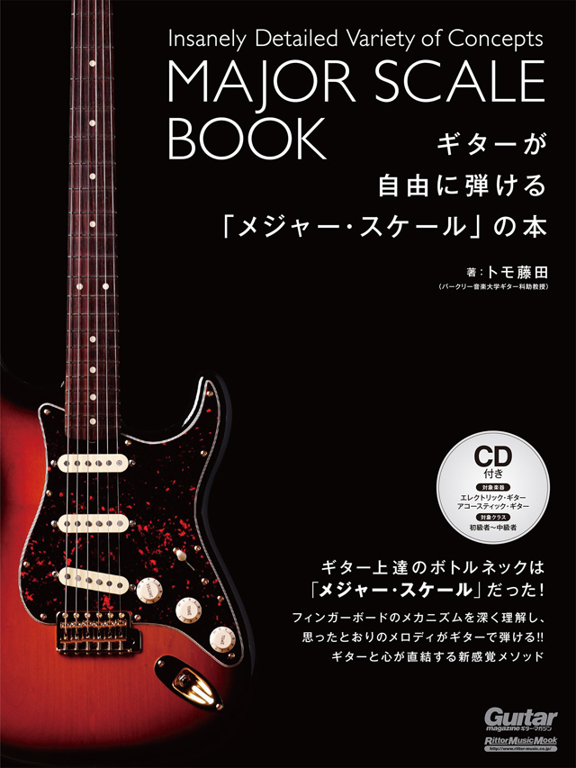 19000円商品 売り切れ必至 トモ藤田 フルセット 楽器/器材 GK300 Gray